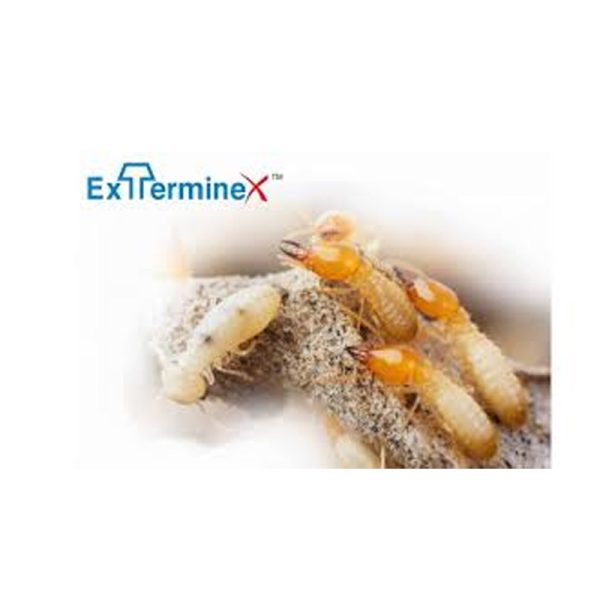 Exterminex Termite Bait – Chlorfluazuron