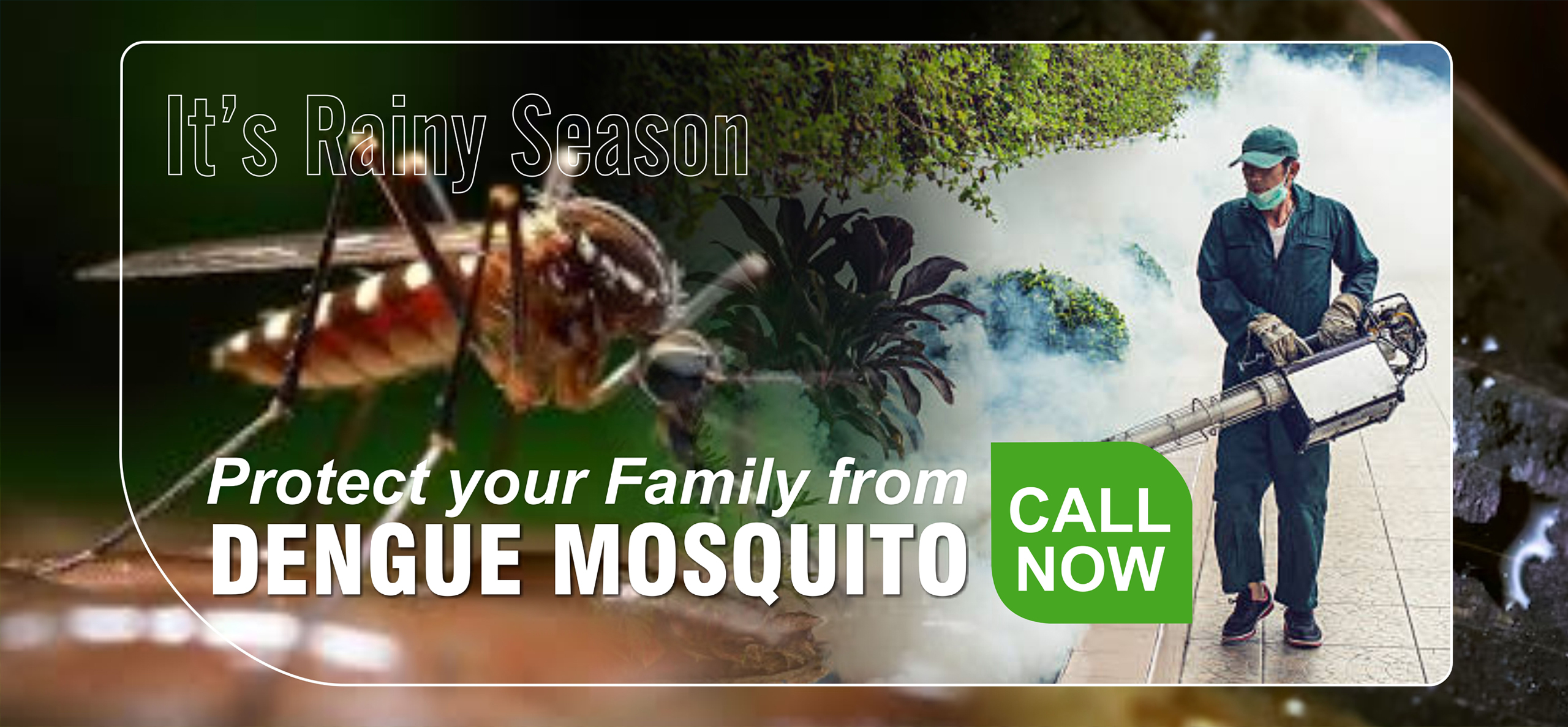 Rtainy Dengue Mosquito Pest Control Services